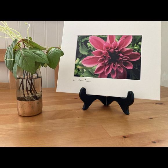 New Original Signed Photography - Picture 1 of 5